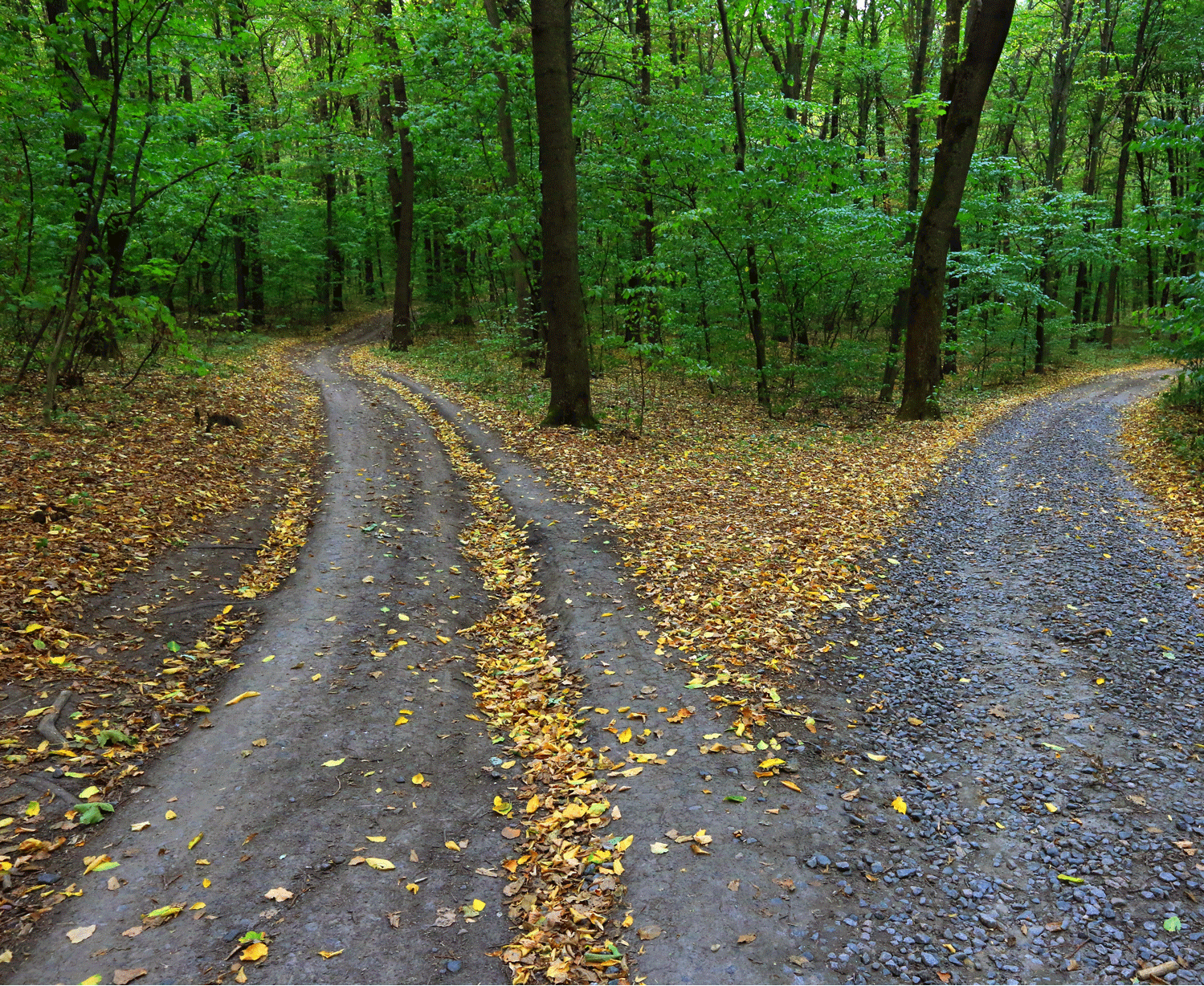A fork in the road