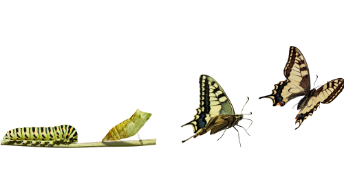 change_beautiful_blog